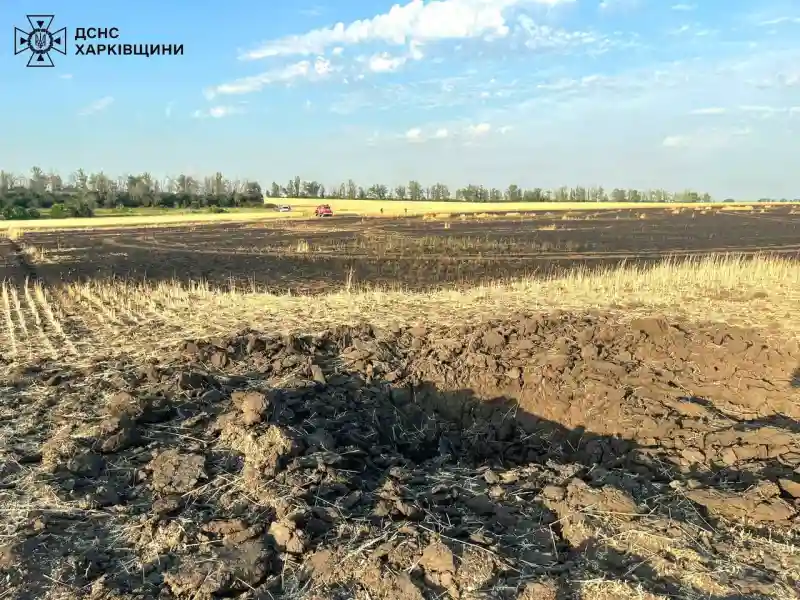 На Харківщині російська бомба підпалила пшеничне поле: вигоріло 60 гектарів урожаю