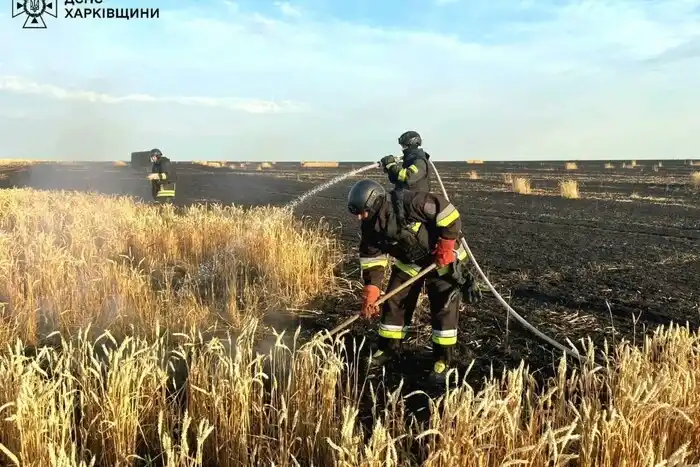На Харківщині російська бомба підпалила пшеничне поле: вигоріло 60 гектарів урожаю